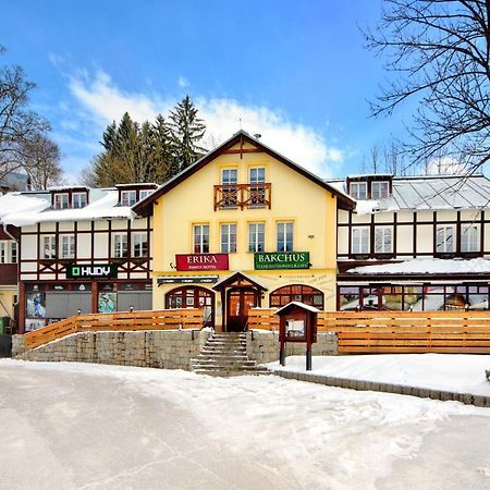 Hotel Erika Špindlerŭv Mlýn Εξωτερικό φωτογραφία