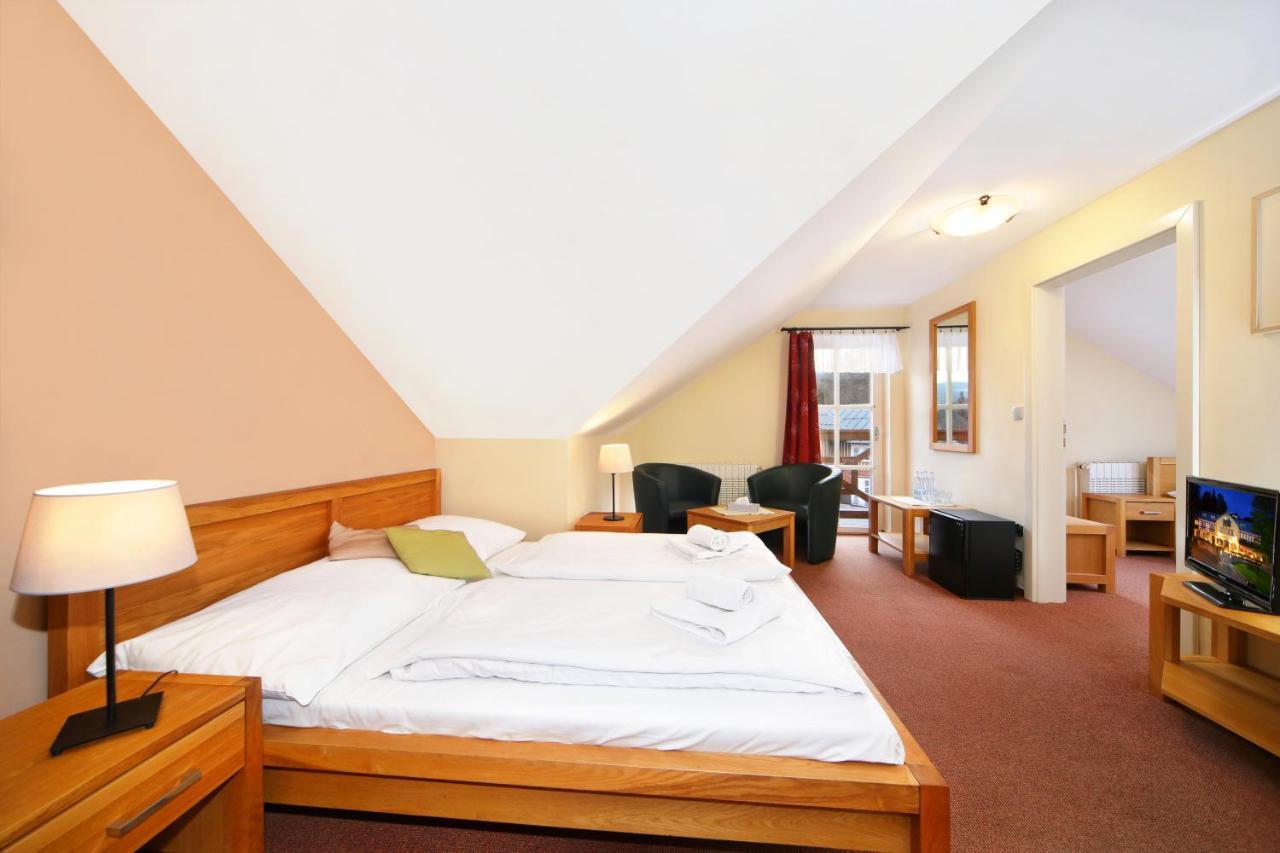 Hotel Erika Špindlerŭv Mlýn Εξωτερικό φωτογραφία