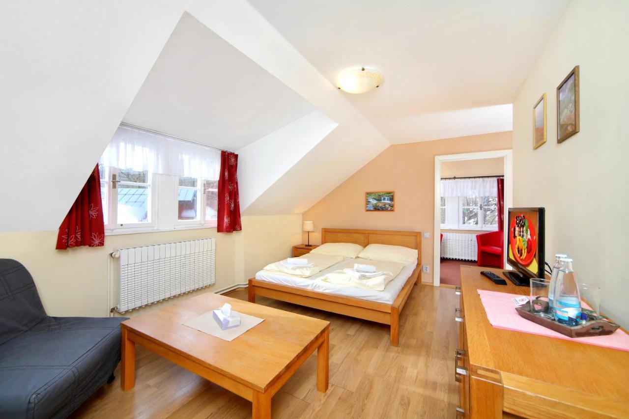Hotel Erika Špindlerŭv Mlýn Εξωτερικό φωτογραφία
