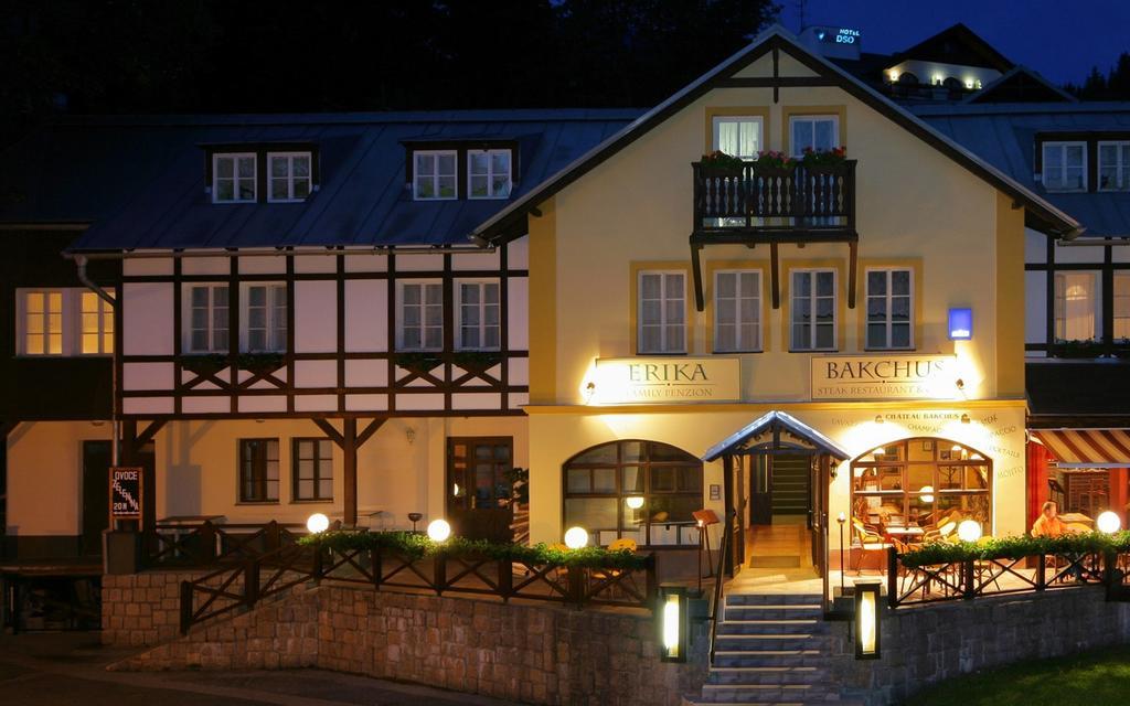 Hotel Erika Špindlerŭv Mlýn Εξωτερικό φωτογραφία