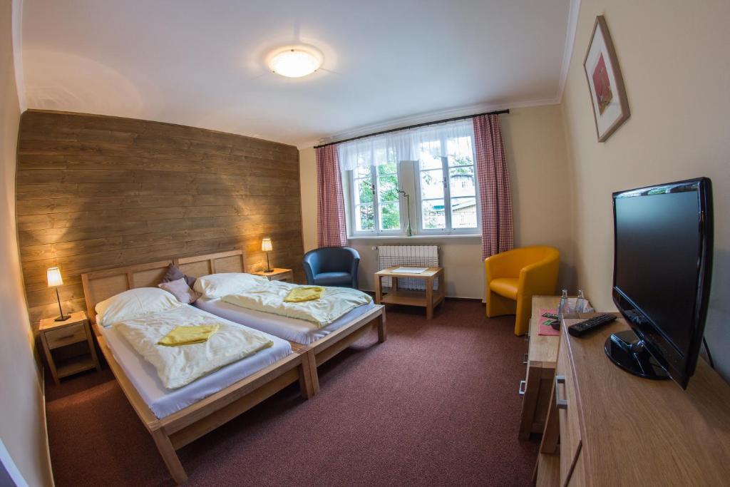 Hotel Erika Špindlerŭv Mlýn Δωμάτιο φωτογραφία